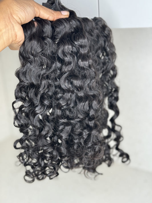 Raw Burmese Curly pre-order(Sale)