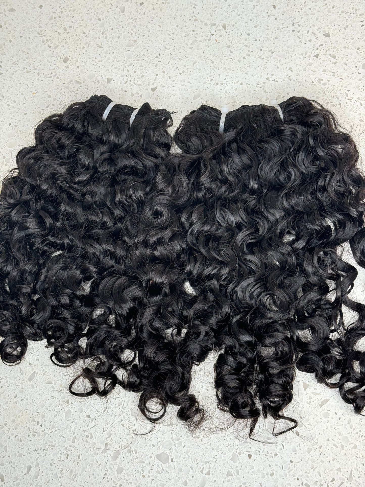 Raw Burmese Curly pre-order(Sale)